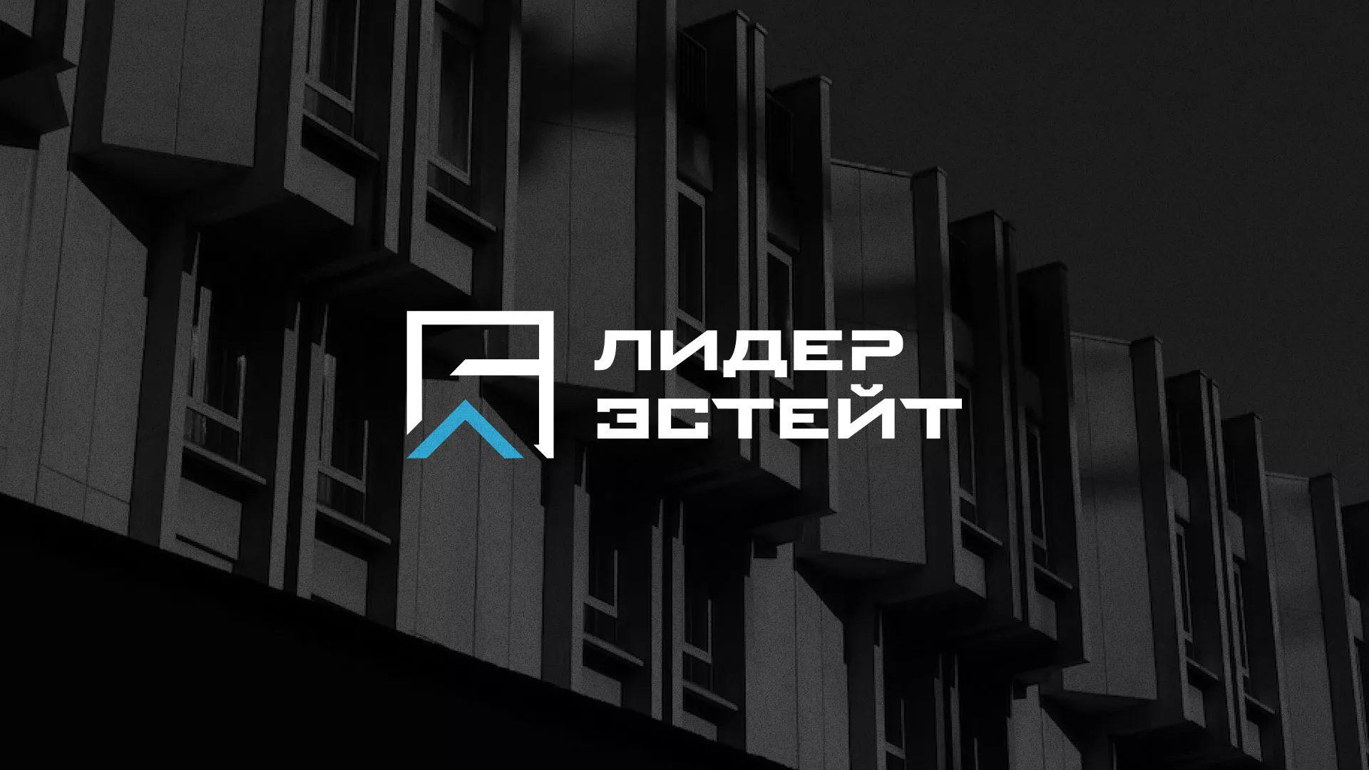 Разработка логотипа агентства недвижимости «Лидер Эстейт» в Еманжелинске