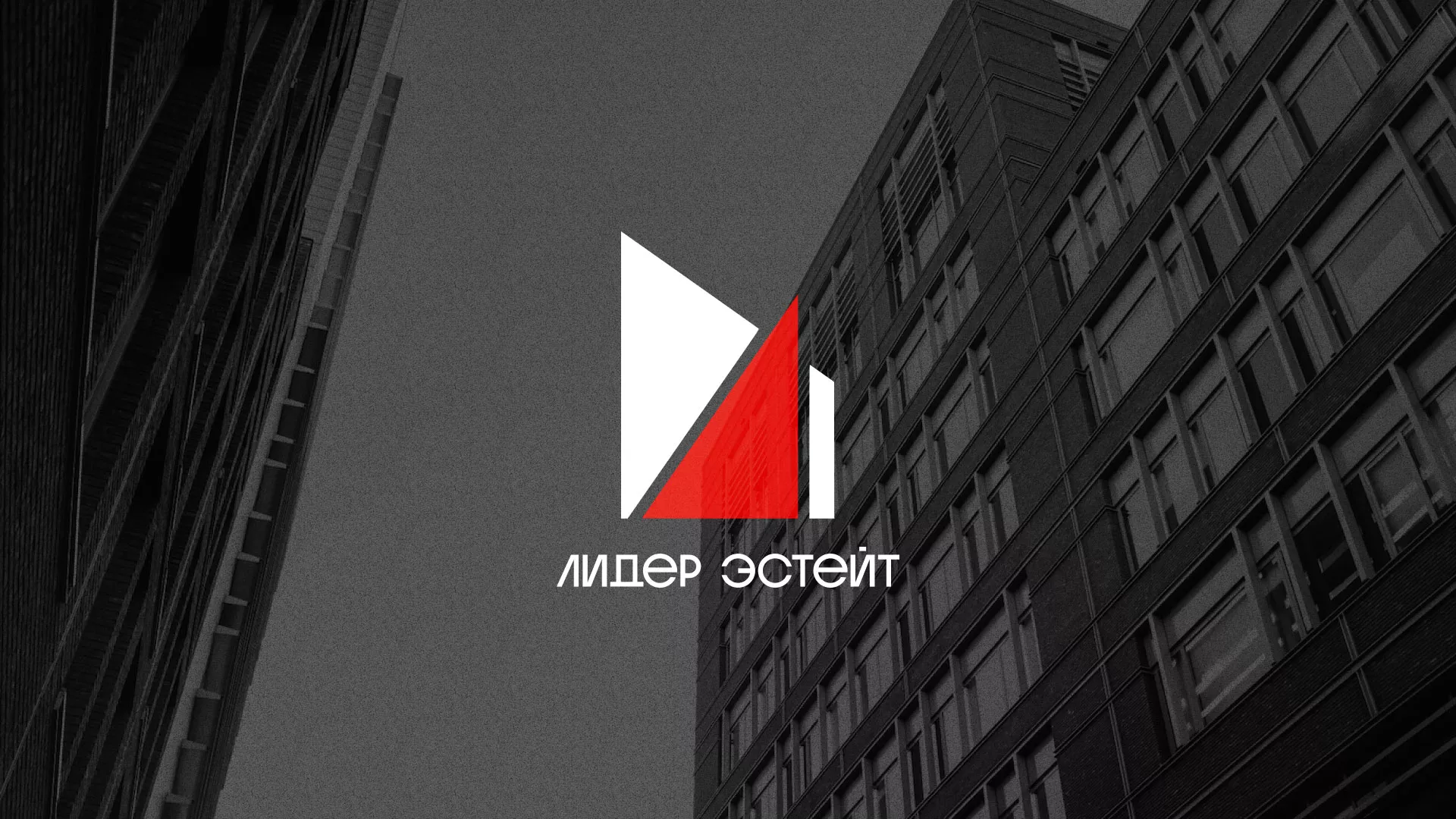 Сделали логотип для агентства недвижимости «Лидер Эстейт» в Еманжелинске